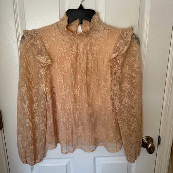Anthropologie Porridge Sheer Lace Womens Blouse Small Romantic Victorian Poet - Picture 3 of 9